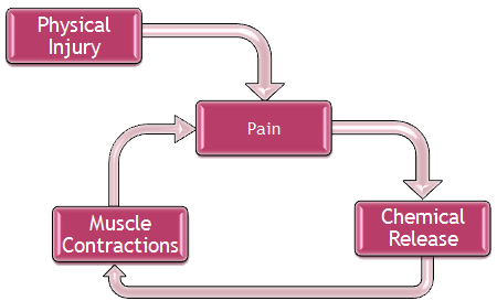 physicalstresscycle-1